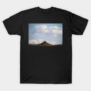 Southern Gobi Mongolia T-Shirt